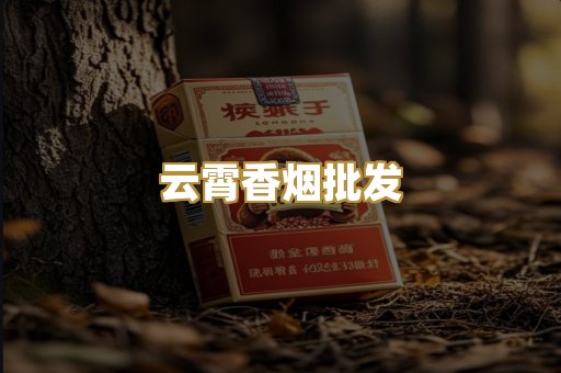 云霄香烟批发